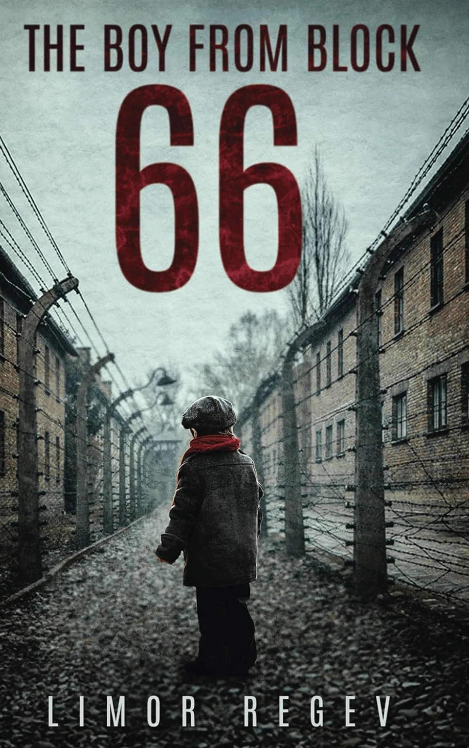Boy-Block-66-Holocaust-Survival